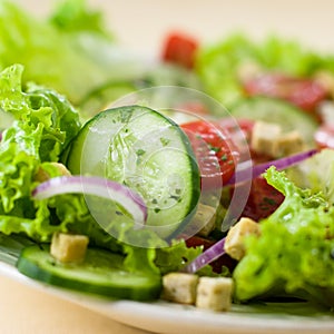 Insalata 