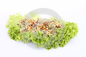 Salad