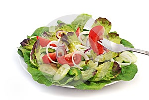 Salad