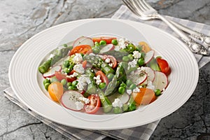 Salad of asparagus, radishes, cherry tomatoes, green peas and goat cheese dressed with vinaigrette close-up in a plate. Horizontal