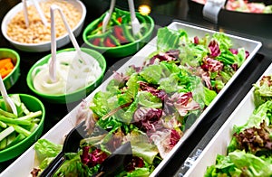 Salad bar buffet at restaurant. Fresh salad bar buffet for lunch or dinner. Healthy food. Fresh green and purple lettuce in white