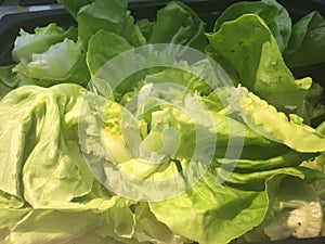 Salad Bar Fresh Vegetables Organic green Healthy