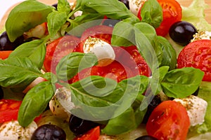 Salad with basil, mozzarella, olives and tomato