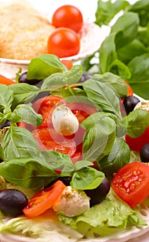 Salad with basil, mozzarella, olives and tomato