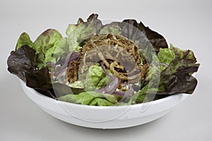 Salad of bibb lettuce and onions photo