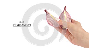 Salad blue onion in a hand pattern