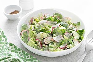 Salad bowl of fresh vegetables