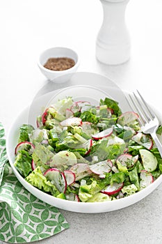 Salad bowl of fresh vegetables