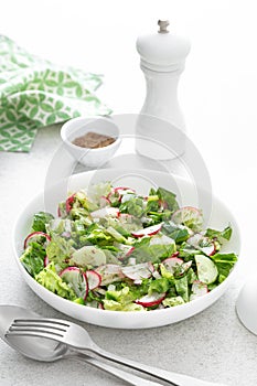 Salad bowl of fresh vegetables