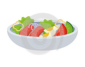 salad bowl illustration