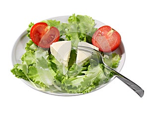 Salad and cheese