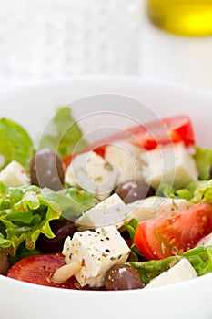 Salad cheese with vegetables in white bowl