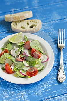 Salad with cherry tomatoes, radish, cucumber and spinach