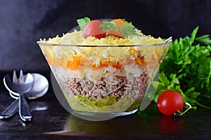 Salad with chicken liver in layers with pickles,boiled carrot, egg, cheese in a glass bowl on a black abstract