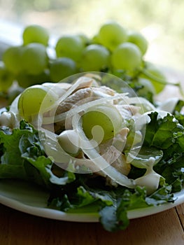 Salad with chicken onion grape. with little DOF