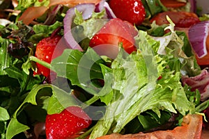 Salad close-up