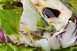 Salad close-up
