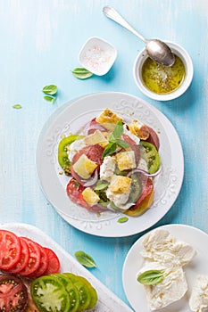 Salad with colorful tomatoes, cheese and bread (panzanella salad