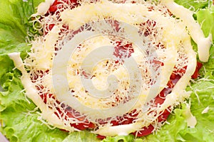 Salad consists of tomatos, ground cheese photo