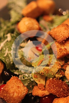 Salad croutons 8175