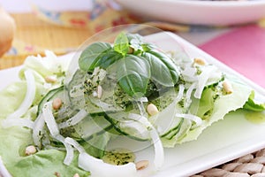 Salad of cucumber