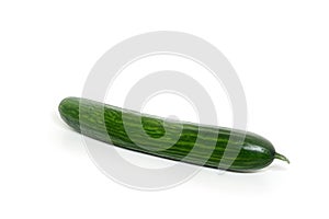 Salad cucumber isolated on a white background