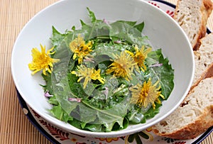 Salad of dandelion