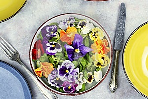 Salad decorated of edible flowers, vegetarian food
