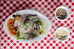 Salad dish including cucumber, tomato, lettuce, cabbage, carrot, red oak, shallot, wild rocket topping with mozzarella cheese.