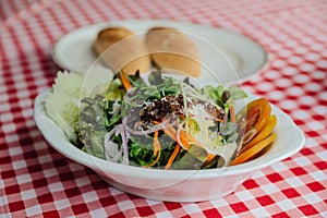 Salad dish including cucumber, tomato, lettuce, cabbage, carrot, red oak, shallot, wild rocket.