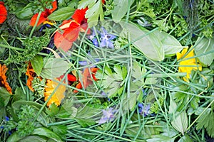 Salad of Edible Flowers and Herbs