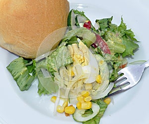 SALAD OF ENTRY