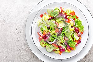 Salad of fresh cucumber, celery, sweet pepper, frize lettuce, red onion and sesame seeds with olive oil. Healthy vegetarian, vegan