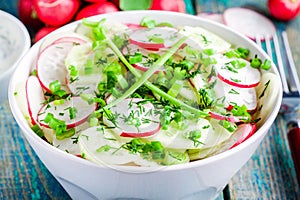 Salad of fresh organic radish and cucumber in white bowl closeup