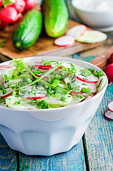 Salad of fresh organic radish and cucumber in white bowl