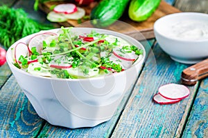 Salad of fresh organic radish and cucumber in white bowl