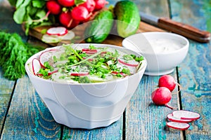 Salad of fresh organic radish and cucumber in white bowl