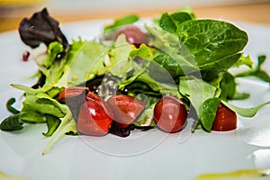 Salad with fresh vegetables on the plate