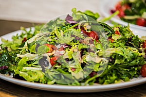 Salad with fresh vegetables on the plate