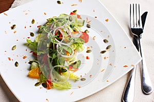 Salad with fresh vegetables, pumpkin seeds, oranges on white plate