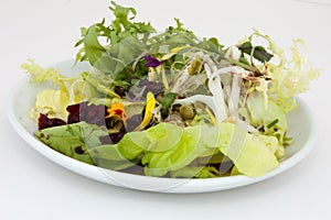 Salad of Frisee and Bibb lettuce photo
