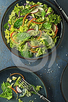 Light Salad with mixed ingredients