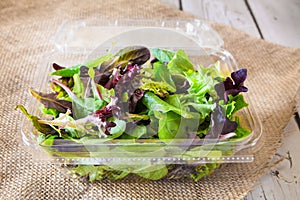 Salad Greens