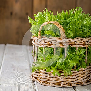 Salad greens from the garden