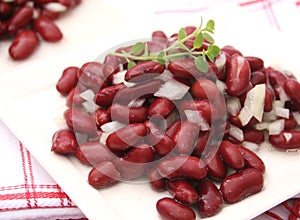 Salad of kidneybeans