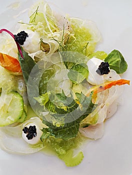 Salad with lattuce, mozzarella cheese, rosted carrots and vegetarian caviar