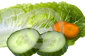 Salad Leaf with Cucumber and Carrots