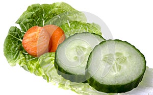 Salad Leaf with Cucumber and Carrots