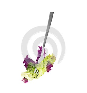 Salad leaf impaled on a fork on a white background