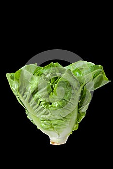 Salad leaf. Lettuce isolated